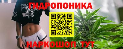 гашик Краснокаменск