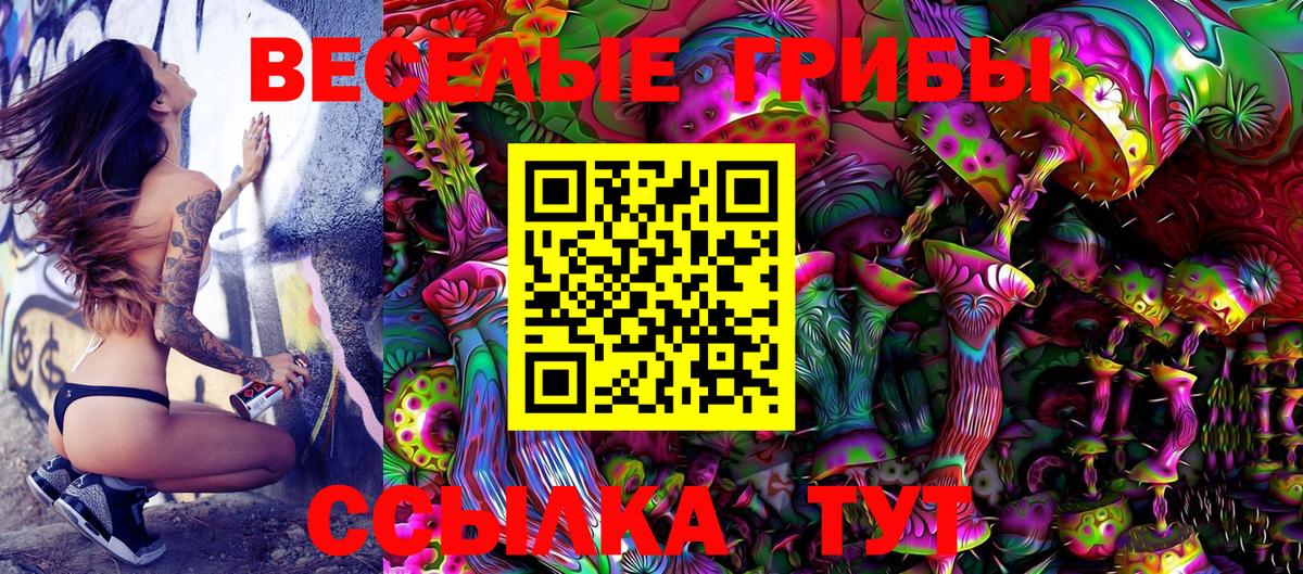 Галлюциногенные грибы MAGIC MUSHROOMS  Вход с VPN  Феодосия 